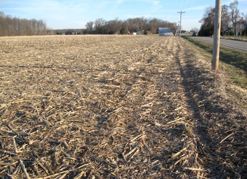 Property photo 10 - 44 Acres Offered in 3 Tracts